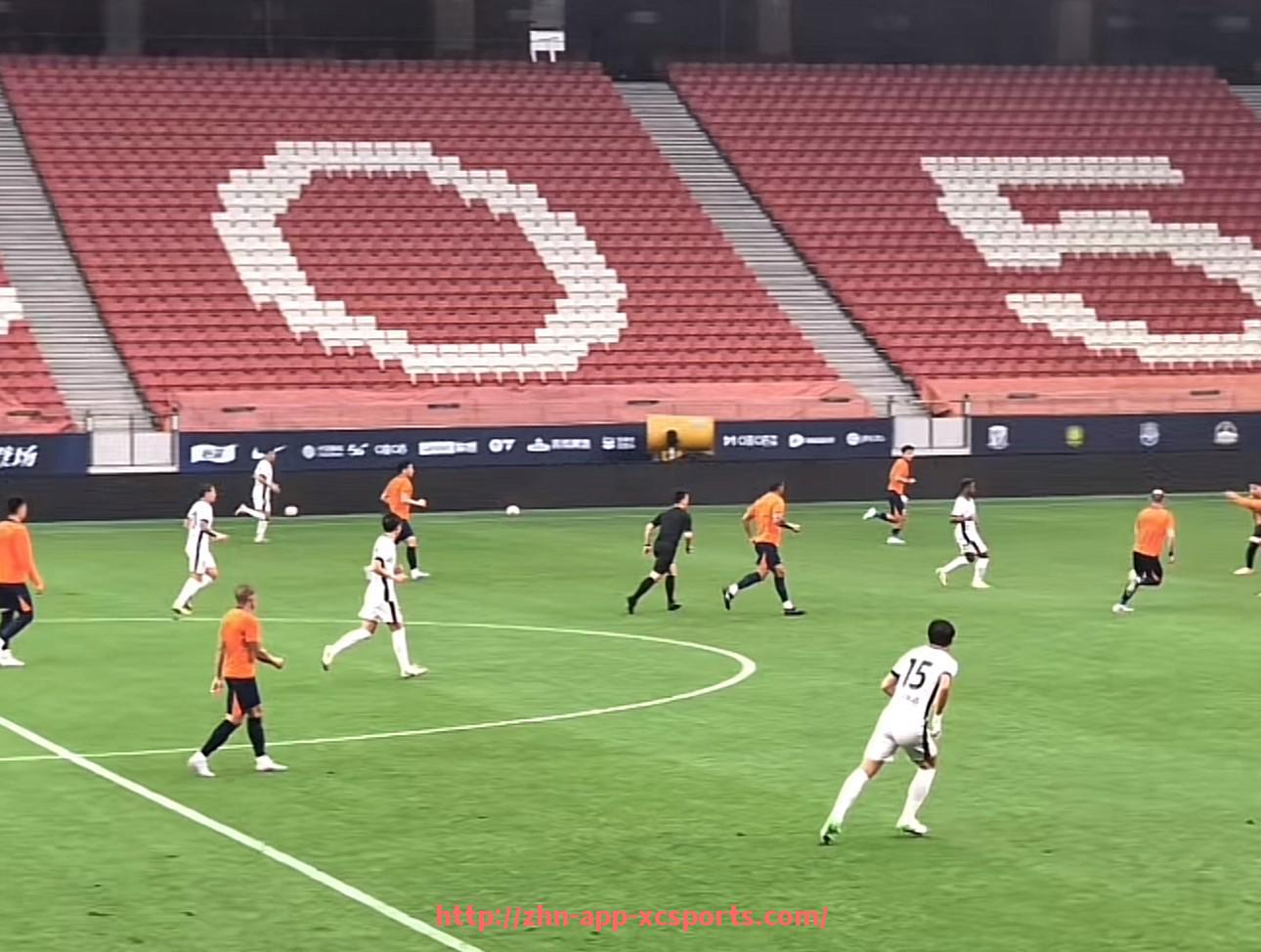 杏彩体育-中国企业收购英超球队的现状与未来发展前景