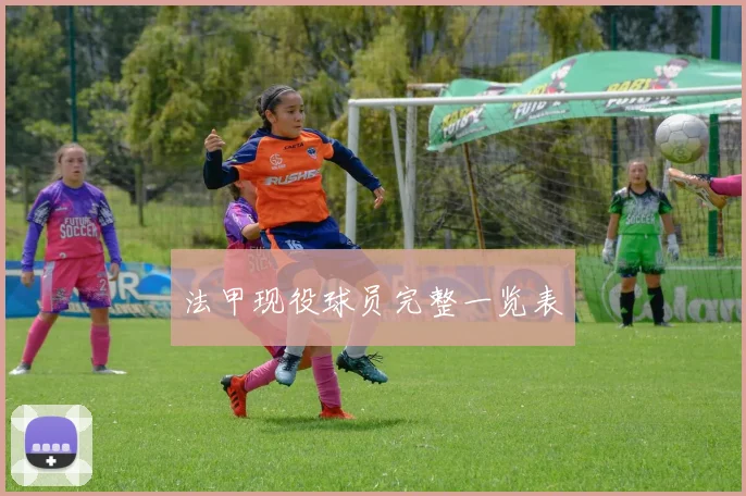 法甲现役球员完整一览表