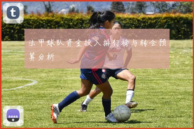 法甲球队资金投入排行榜与转会预算分析