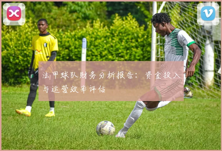 法甲球队财务分析报告：资金投入与运营效率评估