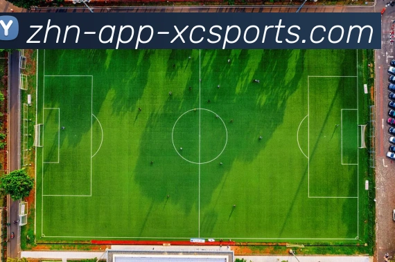 杏彩体育平台生态图