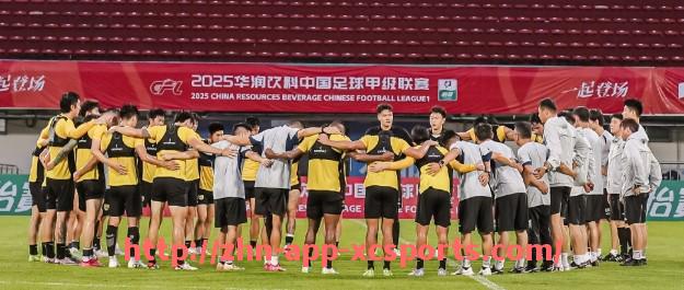 杏彩体育-2019年火箭队重点比赛盘点及赛季表现分析