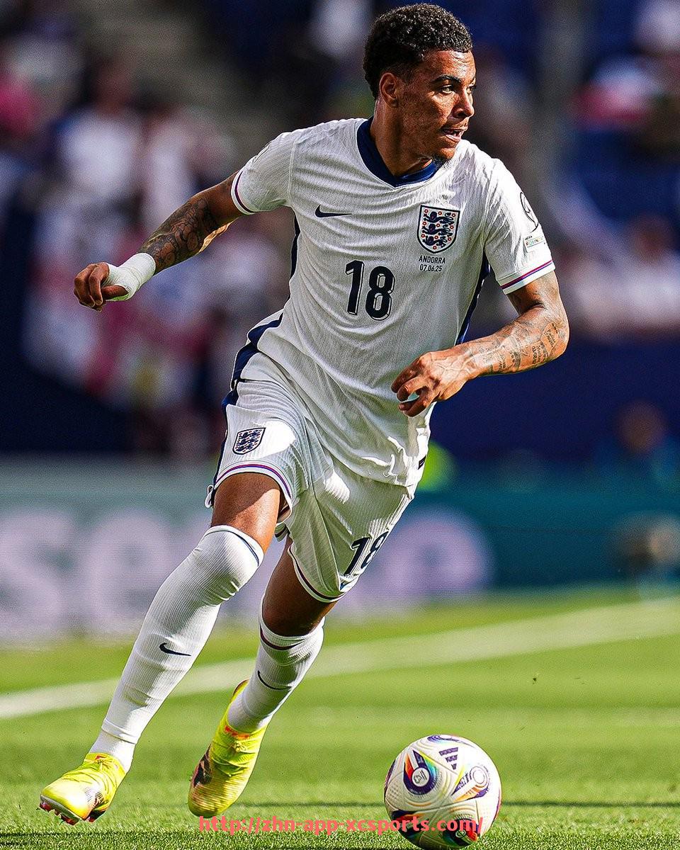 杏彩体育-前景最被看好的德甲球队有哪些？年轻阵容与战术亮点